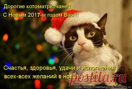 Большая новогодняя котоматрица
