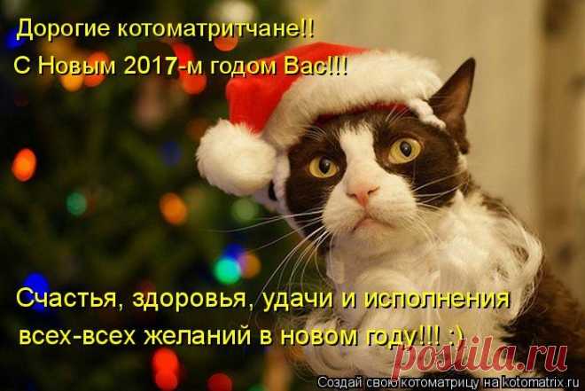 Большая новогодняя котоматрица