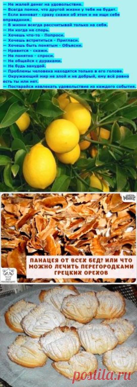 (46) Одноклассники