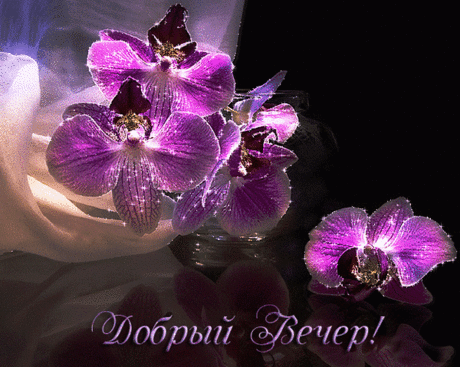༺🌸༻