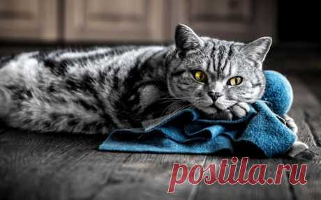 Обои для рабочего стола - Unbelievable Collection of Desktop Wallpapers # 91 :: NoNaMe