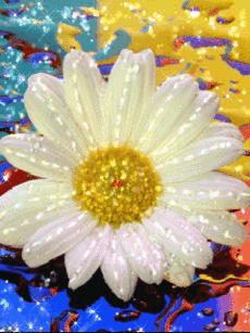 Цветочная анимация.