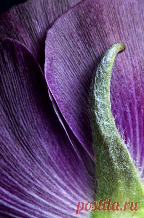 (24) Pinterest: инструмент для поиска и хранения интересных идей