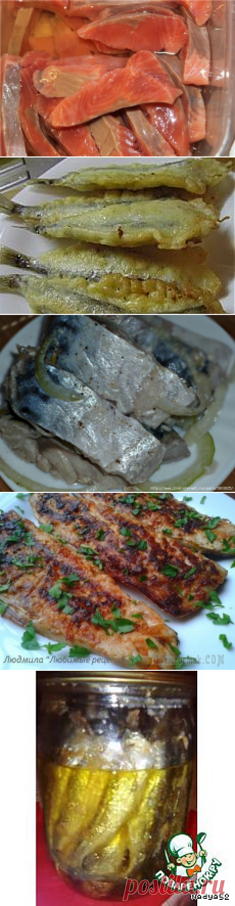 №1  Вкусная рыбка и морепродукты.... | Людмила  | Фотографии и советы на Постиле