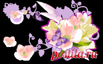 fleurs,flores,flowers,bloemen,png