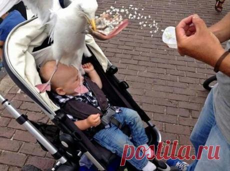 (99) Одноклассники