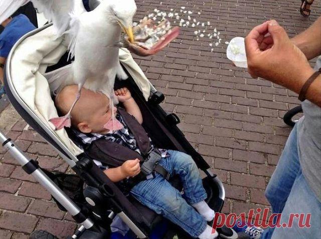 (99) Одноклассники