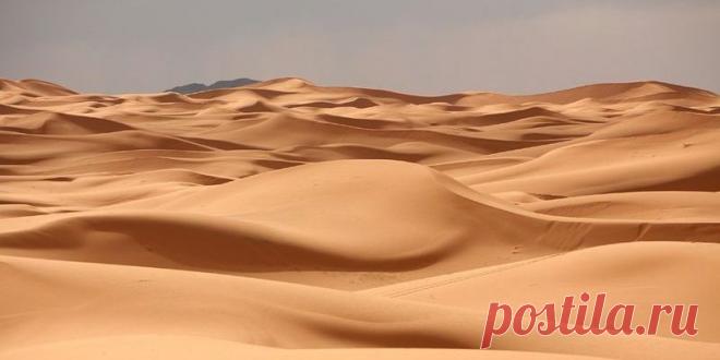 Разгадана самая древняя загадка Сахары - Последние новости науки - Ученые задались целью понять, как именно похолодание сделало некогда цветущие области лишенными растительности - Новости Телеграф
