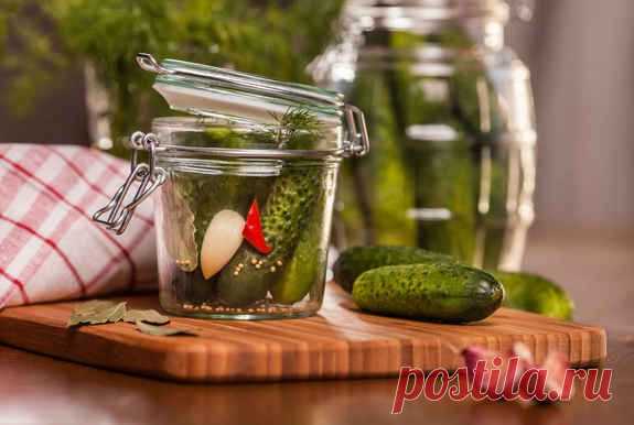 Как правильно и вкусно засолить огурцы