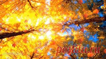 Детский клип - Осень постучалась - Детские видеоклипы