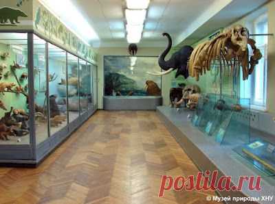 Харьковский Музей природы