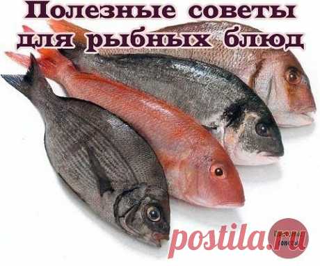 Полезные советы.
Полезные советы для рыбных блюд
1. Разделывать рыбу лучше всего так: сначала очистить от чешуи и слизи, промыть холодной водой, затем разрезать брюшко от головы до анального отверстия и выпотрошить.
2. Снять внутри брюшка черные пленки. Из головы удалить жабры. Разделанную рыбу нужно тщательно помыть.
3. Если при потрошении была допущена неосторожность и желчь разлилась, рыбу надо немедленно промыть, а место, на которое попала желчь, натереть солью и снова тщательно промыть.