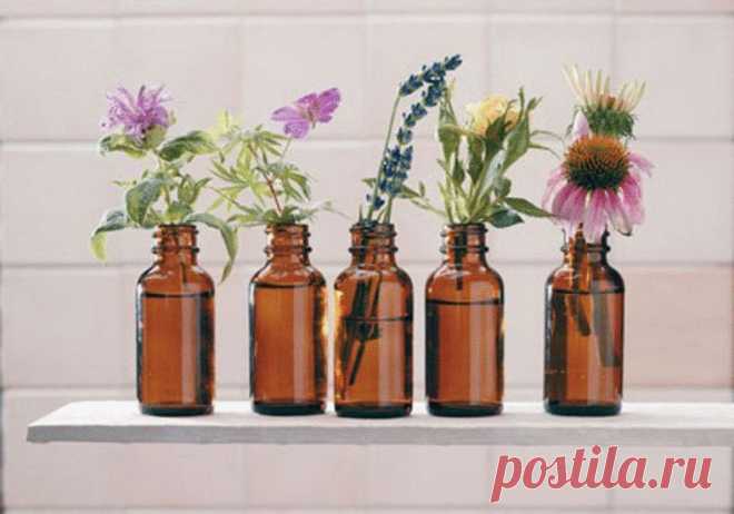 Настойки, которые должны быть в домашней аптечке - Журнал для женщин Срочно «заправь» свою аптечку 1. Настойка перцовая ( на красном жгучем перце). Применяется наружно, как раздражающее и отвлекающее средство для растирания при невралгиях, радикулитах, миозитах, ишиасе, либо при промерзаниях, кашле, ревматизме, прострелах. 2. Настойка почек березы. Применяется внутрь по 15-20 капель в воду при несварении желудка, язве желудка, а так же при водянке, возникшей от […]