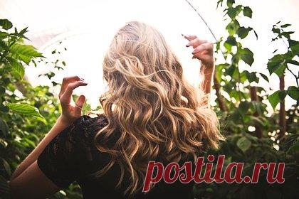 Блогерша назвала опасные ошибки при уходе за волосами и вызвала споры в сети. Блогерша Кали (фамилия не уточняется), более известная в соцсетях под ником @kalibbeauty, назвала опасные ошибки при уходе за волосами и вызвала споры в сети. Девушка рассказала, что много лет использовала в рутине дешевые шампуни, которые в своем составе, по ее мнению, содержали ухудшающие состояние прядей компоненты.