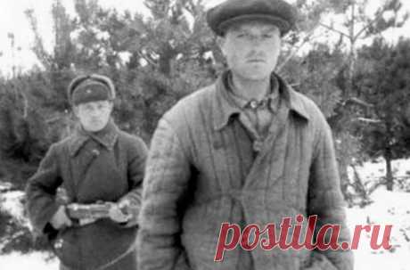 На чем в первые месяцы Великой Отечественной войны &quot;палились&quot; вражеские диверсанты | Поле брани | Яндекс Дзен