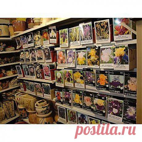 Передержка растений | НА ЗАВАЛИНКЕ