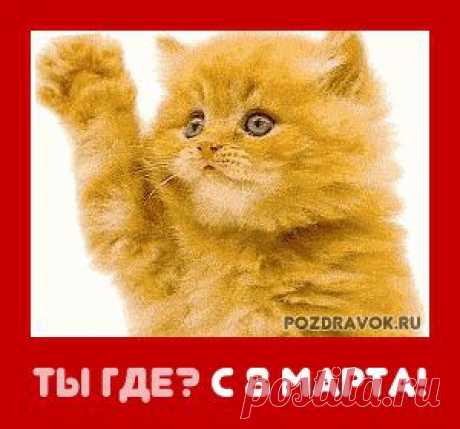 (1) Клуб смеха &quot;Убил!&quot;