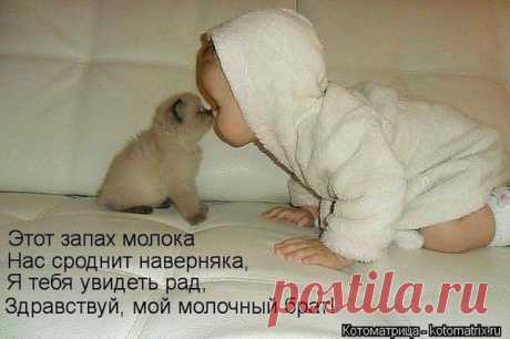 Интересные новости