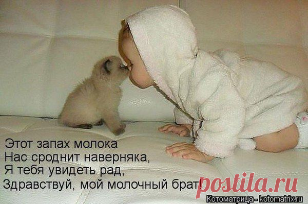 Интересные новости