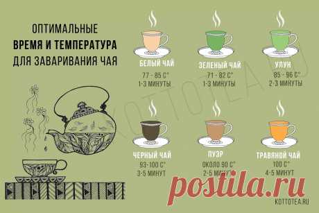 Оптимальные время и температура для заваривания чая