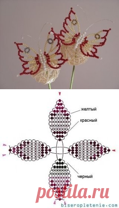 (5) Одноклассники