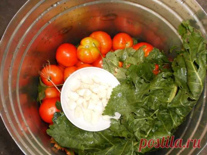 Солим вкусные помидорчики на зиму в бочке — рассказываю про тонкости процесса и предлагаю 3 моих любимых рецепта | Идеальный огород | Дзен