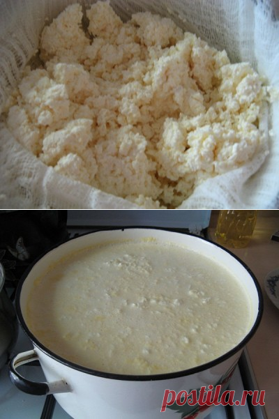 Вкусный творог из одного молока : Творог