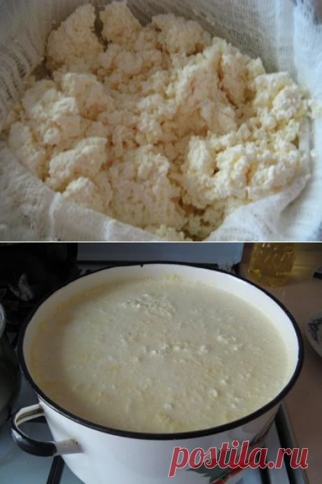 Вкусный творог из одного молока : Творог