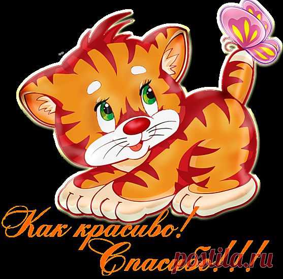 Способ вязывания края в шарфах и пледах.