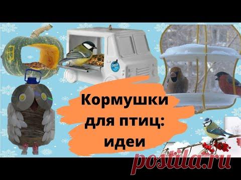 Кормушка для птиц своими руками: интересные идеи из подручных материалов