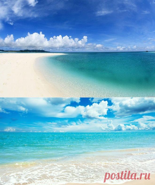 Морские и лесные пейзажи.