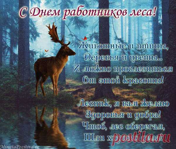 Всех, кто лесу свои силы
Ежедневно отдает,
Шлю от сердца поздравления,
Пусть в работе вам везет.