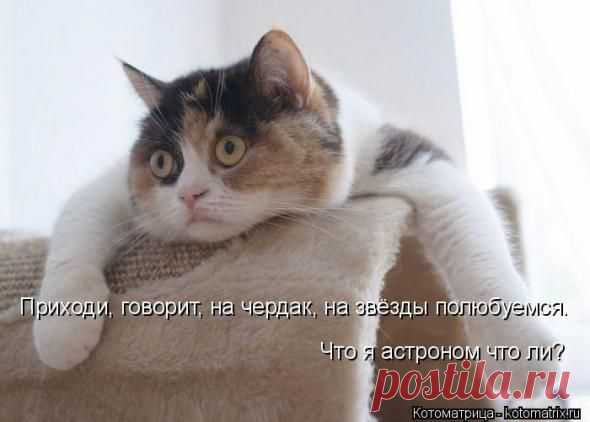Лучшее из сети – всегда бесплатно :: NoNaMe