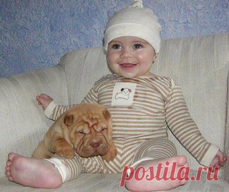 Улыбка дня )))