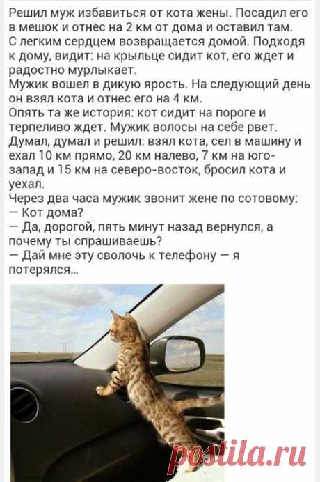 АЛЕКСАНДР ТОРГАШИН
Ххххи