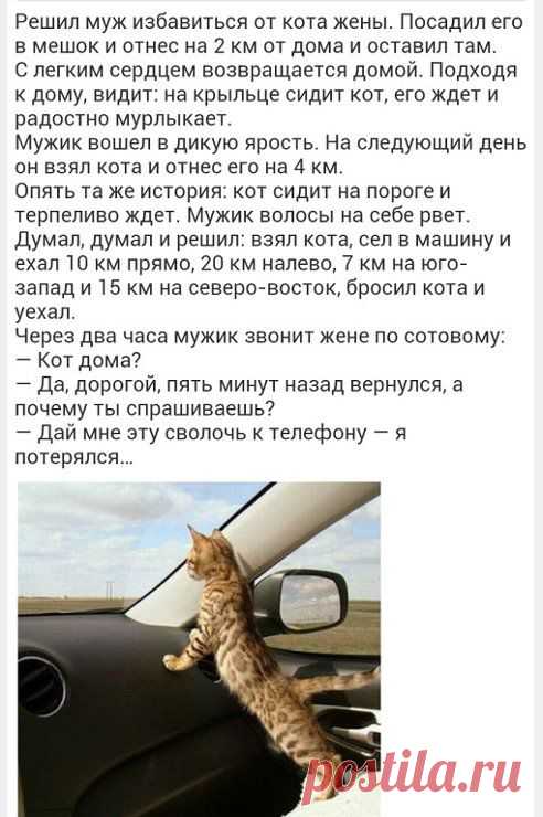 АЛЕКСАНДР ТОРГАШИН
Ххххи