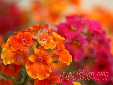 Интересные новости