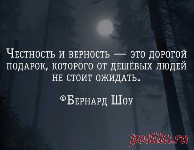 Умные мысли и мудрые фразы со смыслом (59 картинок) — jancel.ru