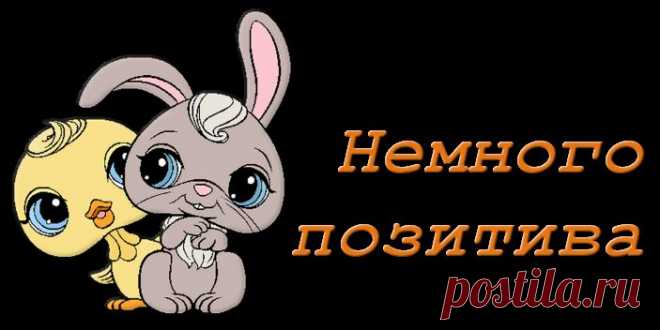 Озорные и не очень истории!!....