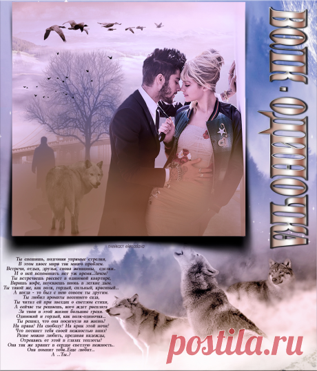 Волк-одиночка ~ Плейкасты ~ Beesona.Ru