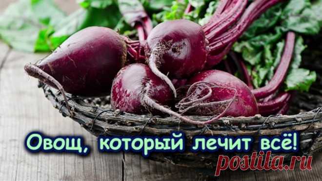 (46) Одноклассники