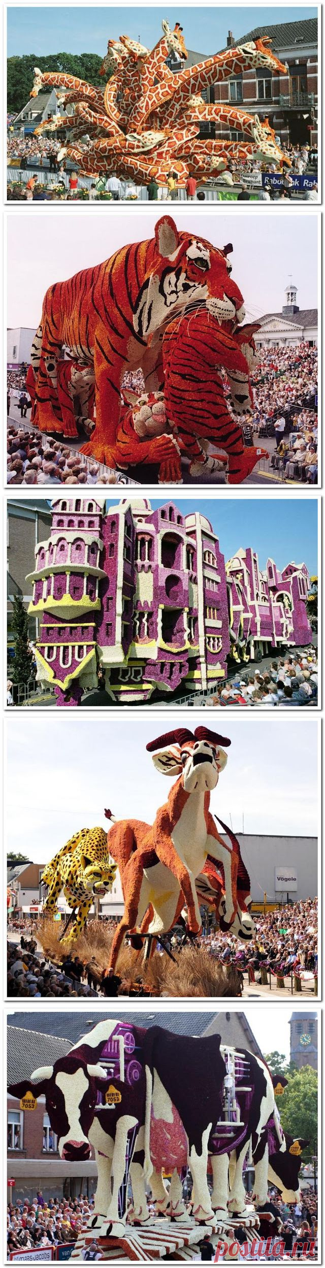 Чудеса света. Парад цветов. Нидерланды - Ярмарка Мастеров - ручная работа, handmade