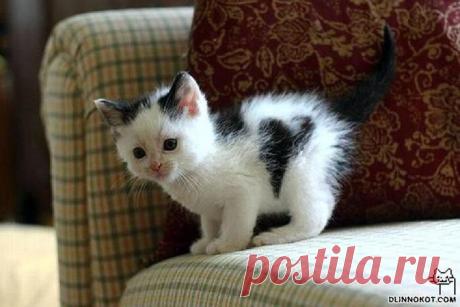 Отмеченные любовью...)))).