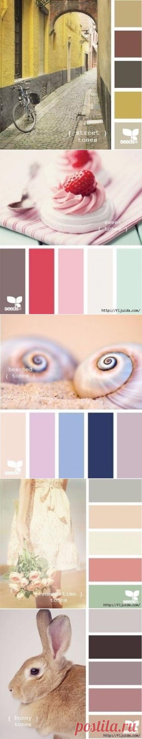 Гармония цвета: лучшие color-решения для интерьера - Дизайн интерьеров | Идеи вашего дома | Lodgers