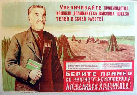 История про коноплю