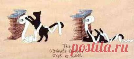 (8) Gallery.ru / Foto # 2 - El último debate sobre como Under - natalytretyak