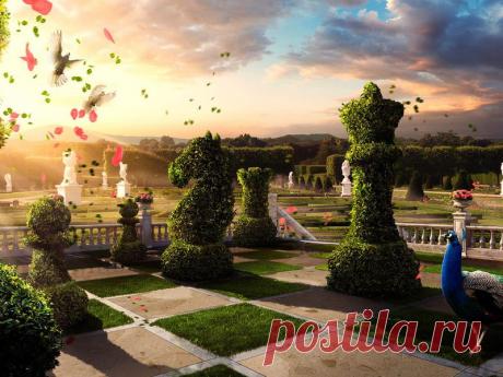 Картинка необычное, лето, клумбы, сад, павлин, голуби, растения, птицы, солнце, природа, шахматы, цветы 800x600, фото 50869