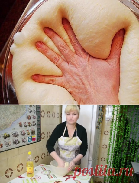 (23) Одноклассники