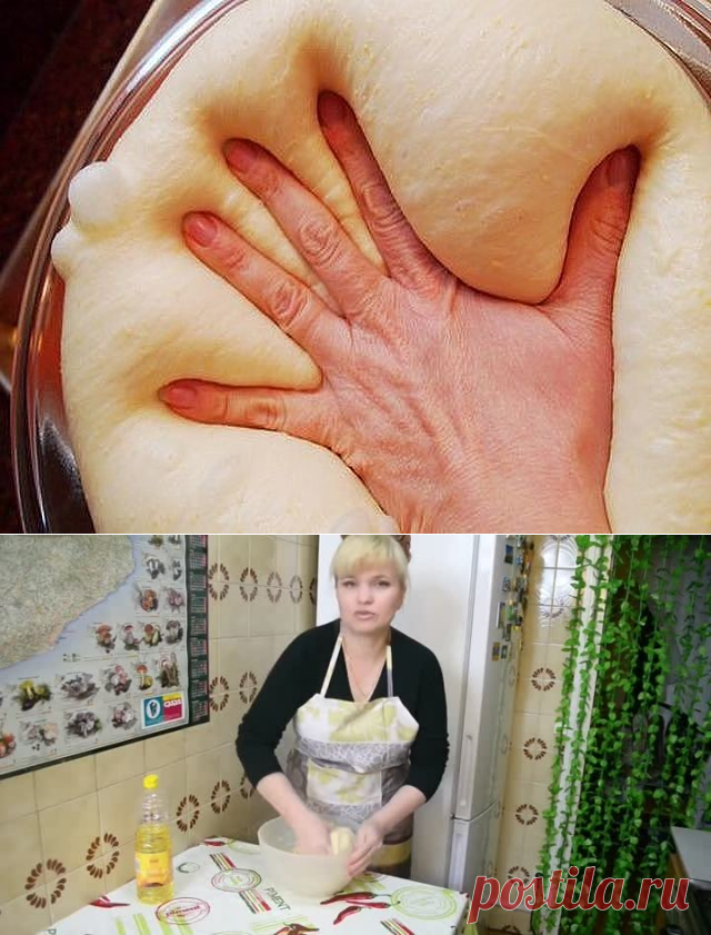 (23) Одноклассники