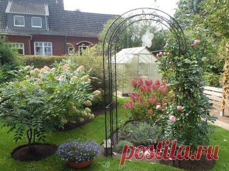 Хозяин леса: секреты сбора грибов, о которых не знает никтo